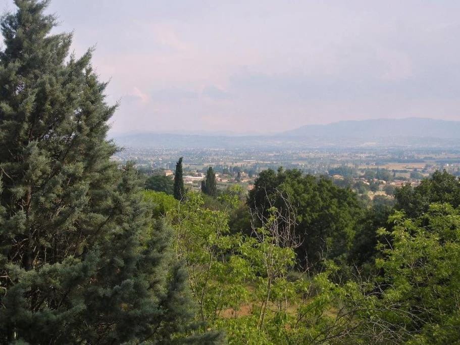 Natural landscape
