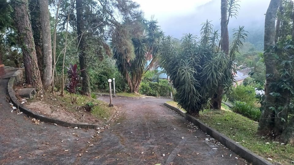 SÍTIO ALTO DA COLINA House in Nova Friburgo