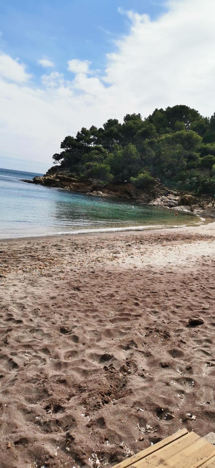Nearby landmark, Beach