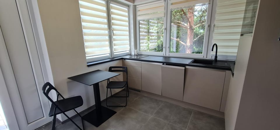 Kitchen or kitchenette, Dining area, stove