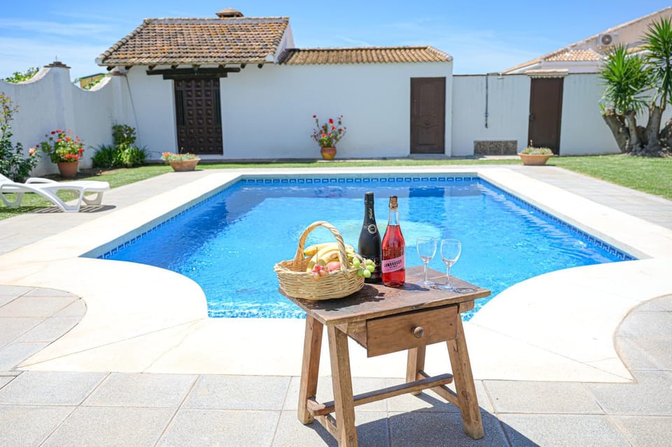 Patio, Garden, Swimming pool