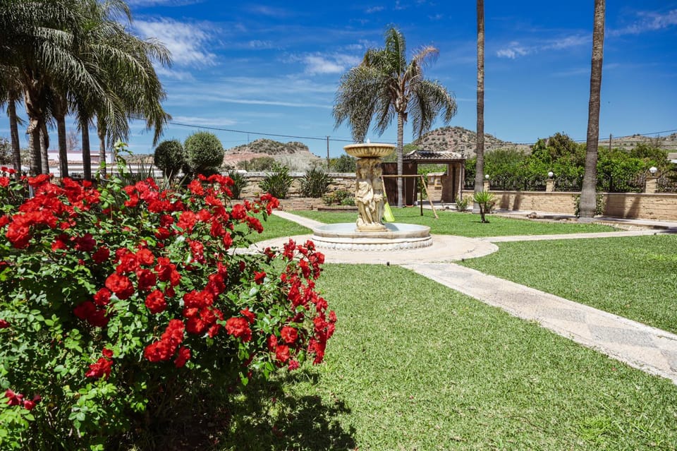 Natural landscape, Garden, Garden view