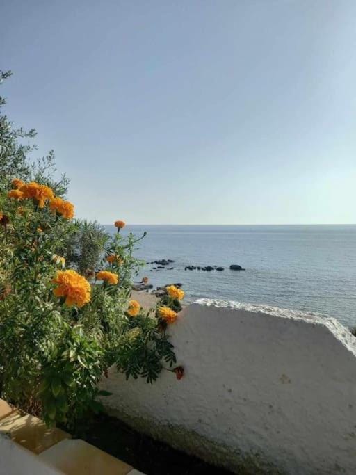 Villa Savvas House in Peloponnese, Western Greece and the Ionian