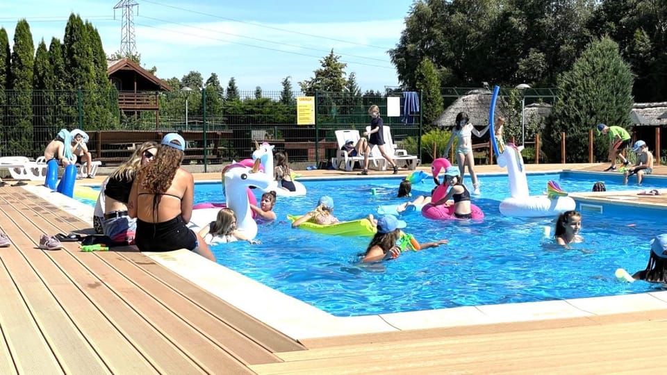 Day, People, Pool view, Swimming pool, children, group of guests