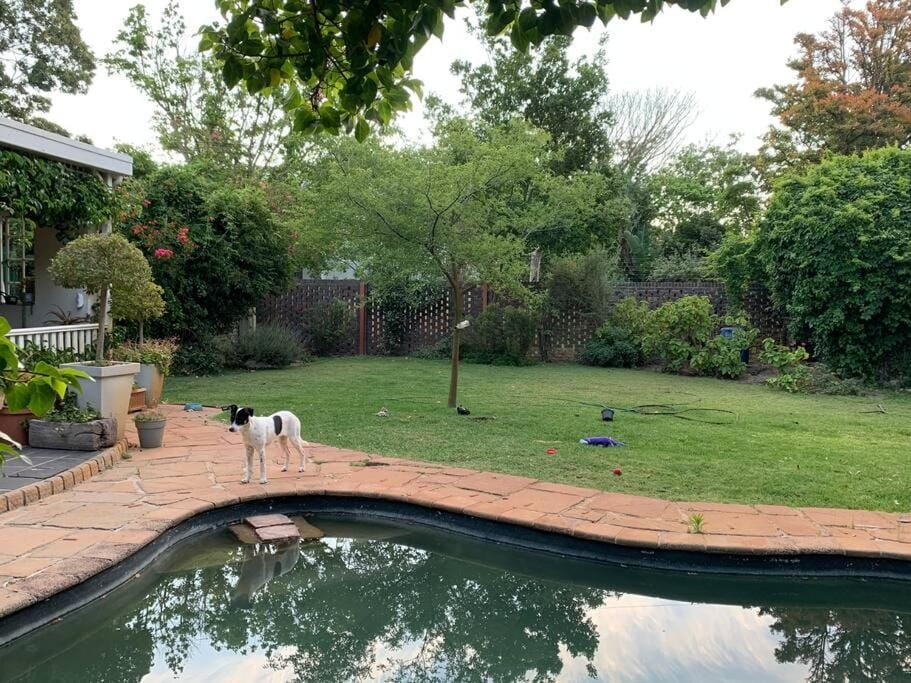 Cape Town family home with lovely garden. Villa in Cape Town