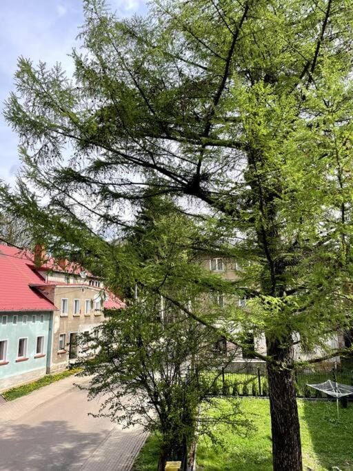 Pod Modrzewiem Apartment in Lower Silesian Voivodeship