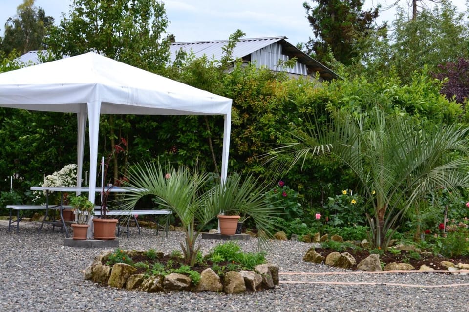 Day, Garden, Garden view