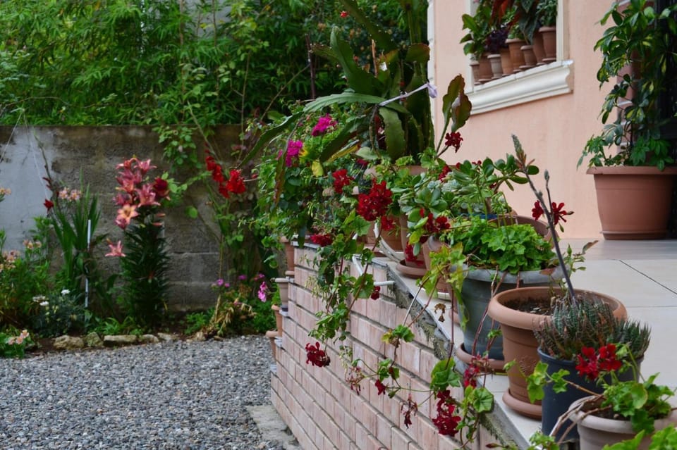 Garden view