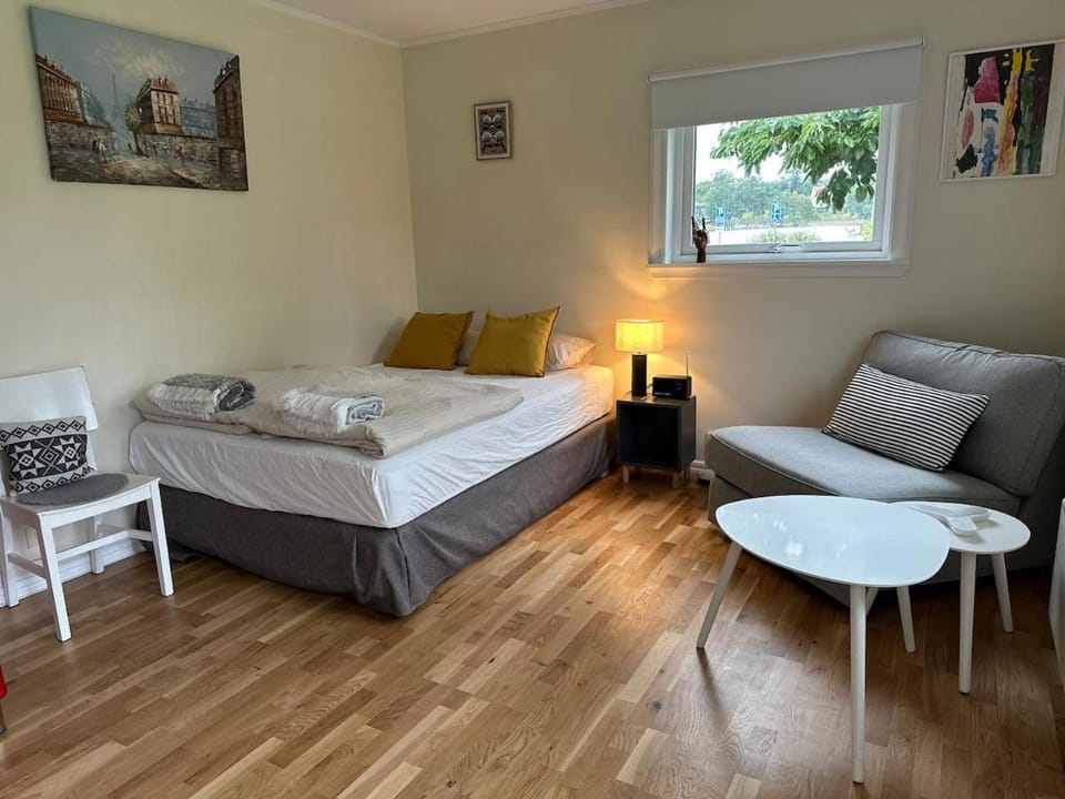 Bed, Living room, Photo of the whole room, Seating area, Bedroom