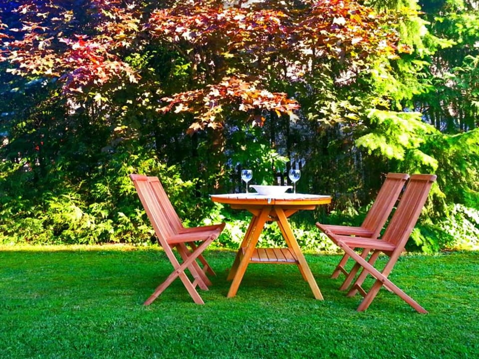 Apartments Ana Kranjska Gora Apartment in Friuli-Venezia Giulia