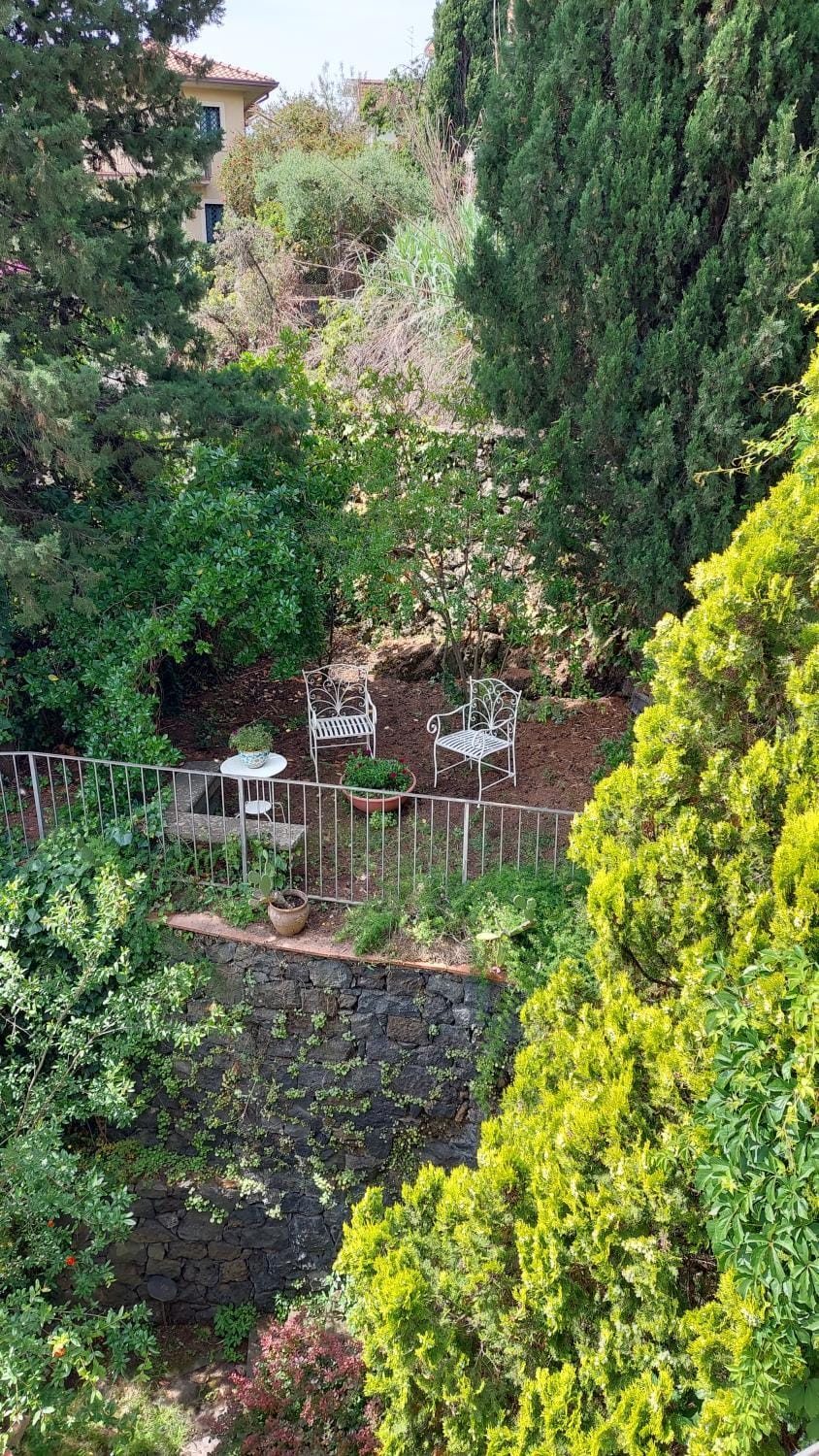 Garden, Garden, Garden view, Garden view