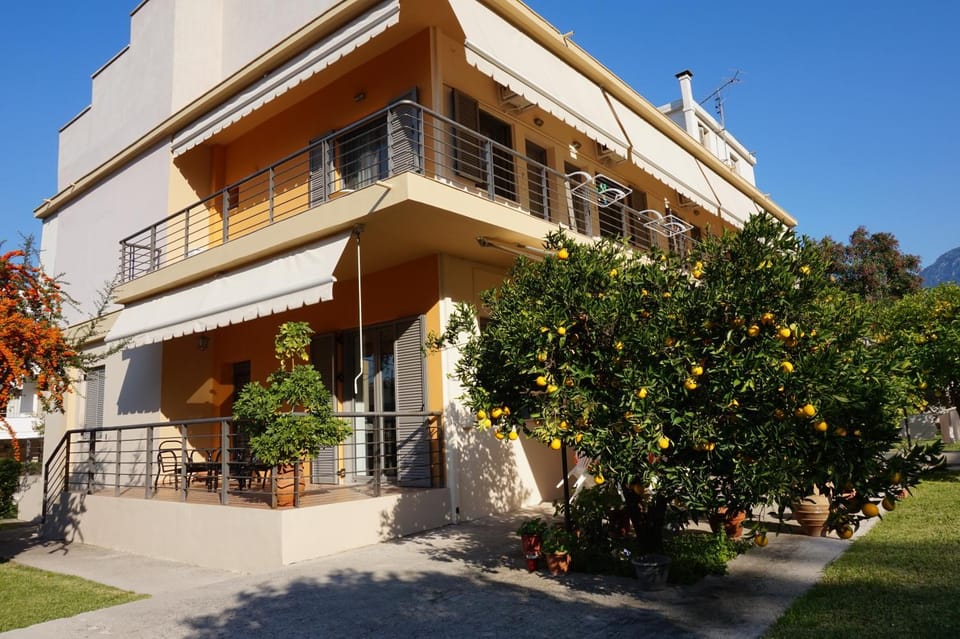 Property building, Day