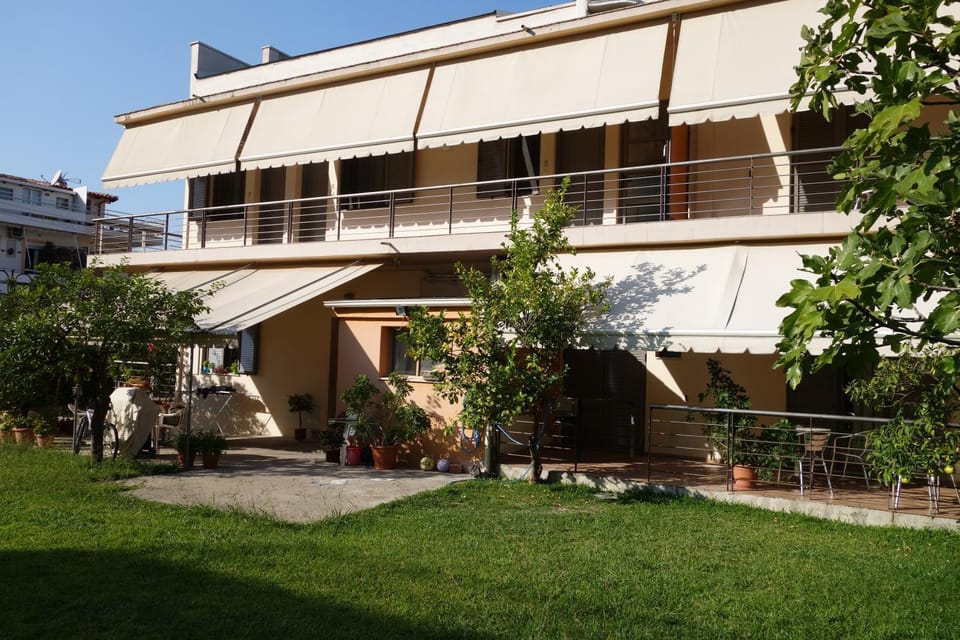 Property building, Day, Garden