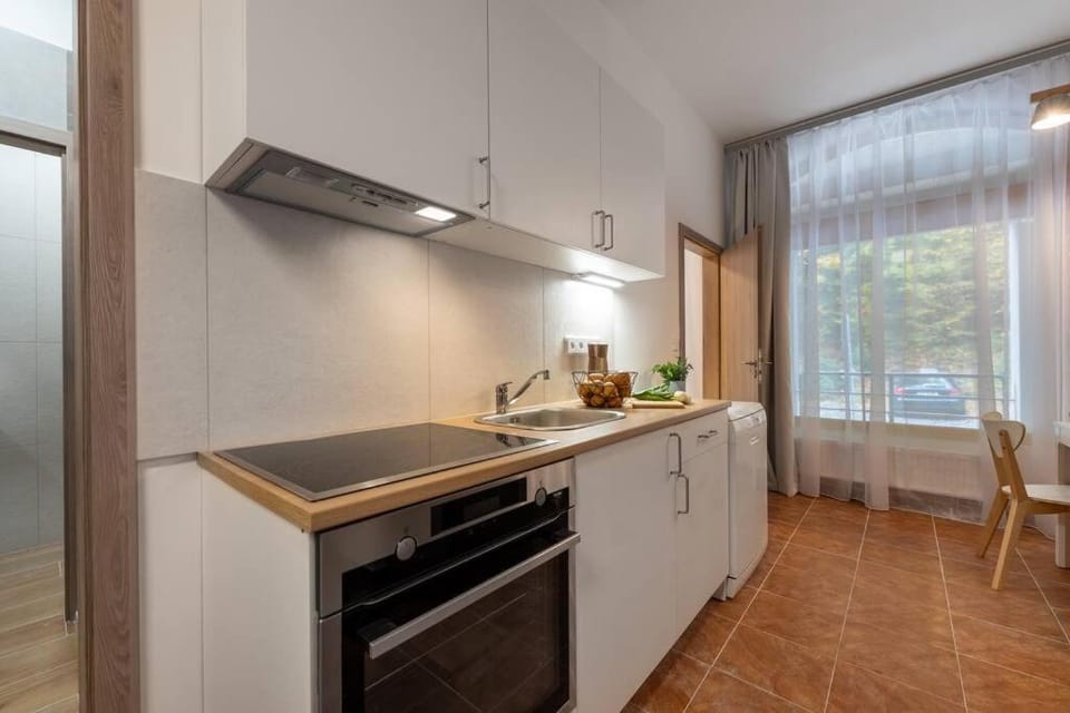 New flat, Jachymov (Klinovec resort) Apartment in Czechia