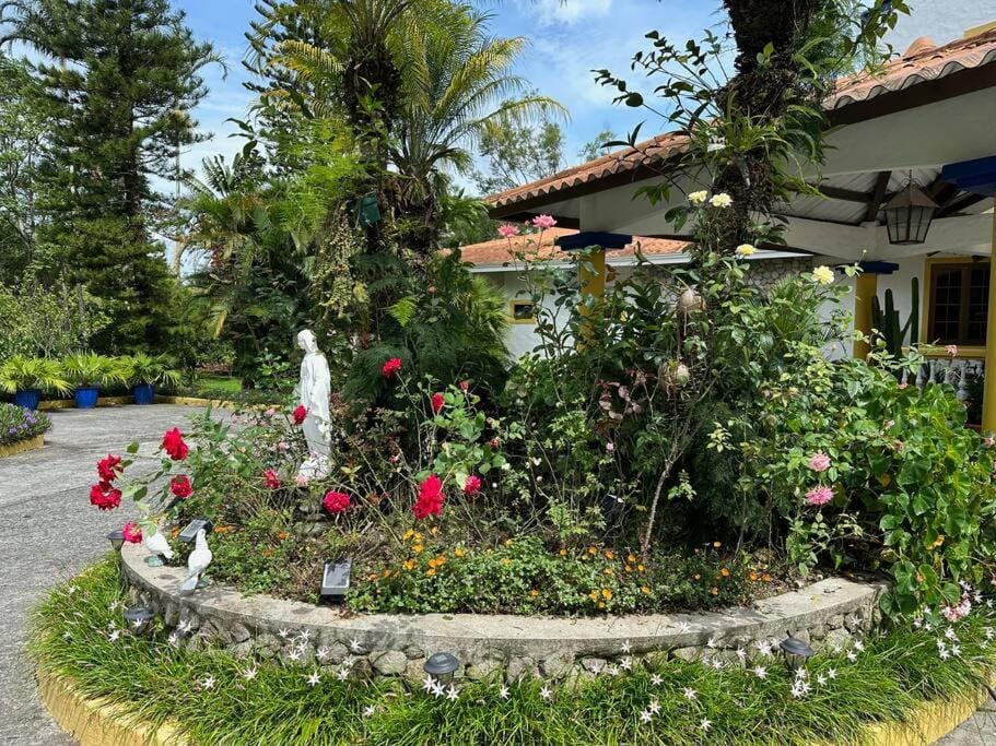 Property building, Spring, Day