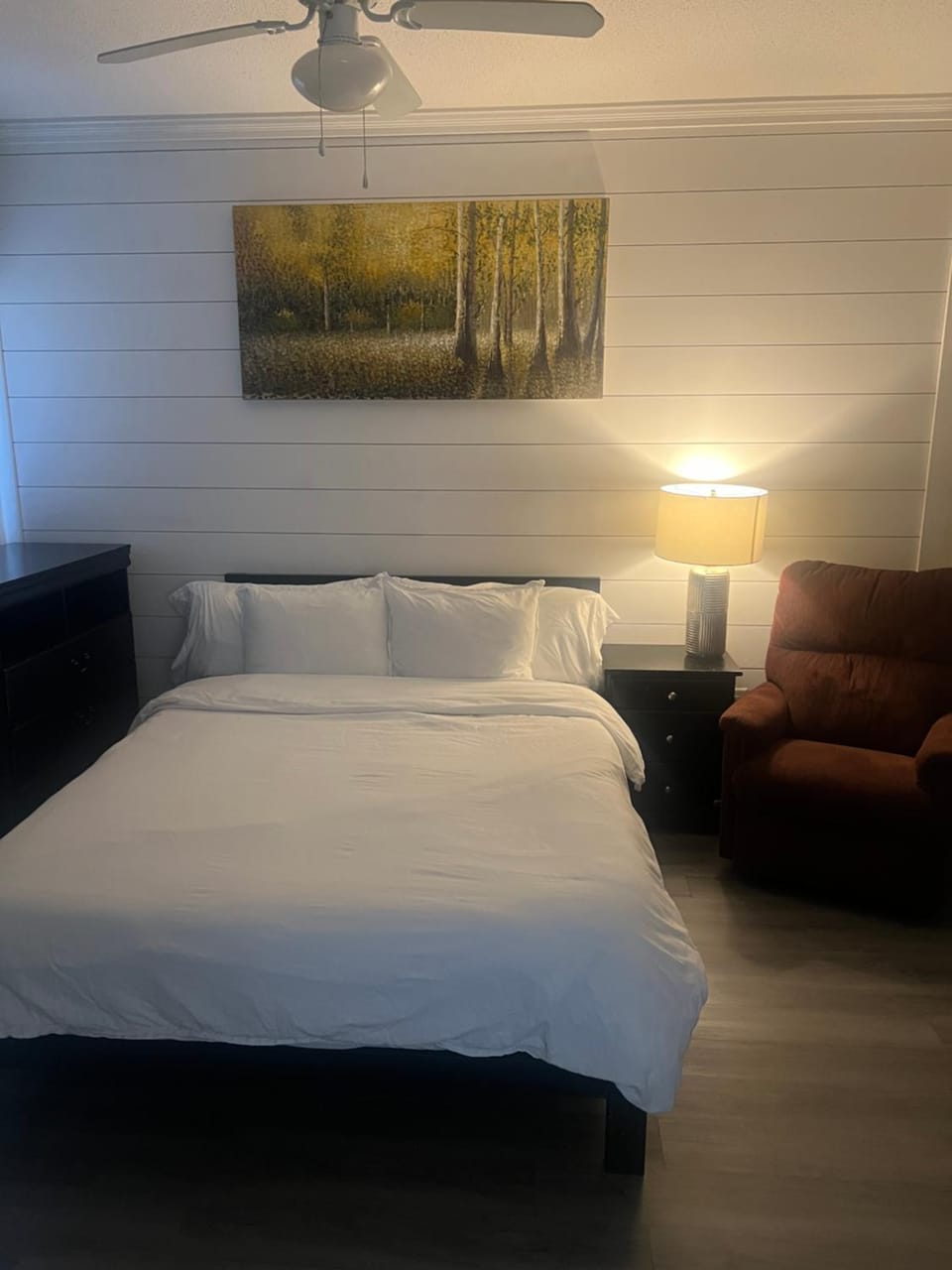 Photo of the whole room
