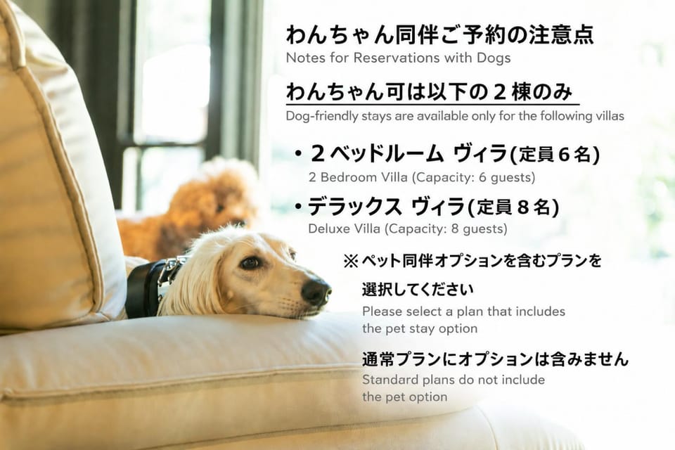 Pets