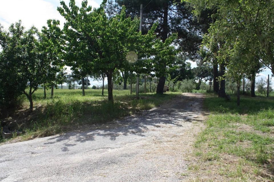 Natural landscape