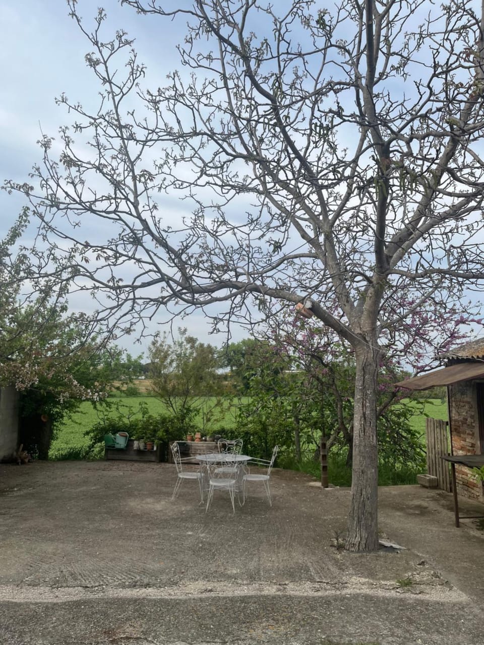 Patio, Inner courtyard view