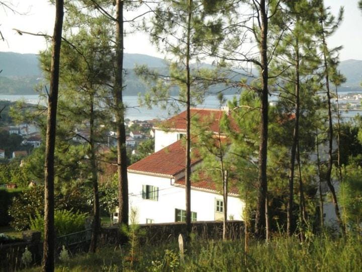 Bird's eye view, Area and facilities