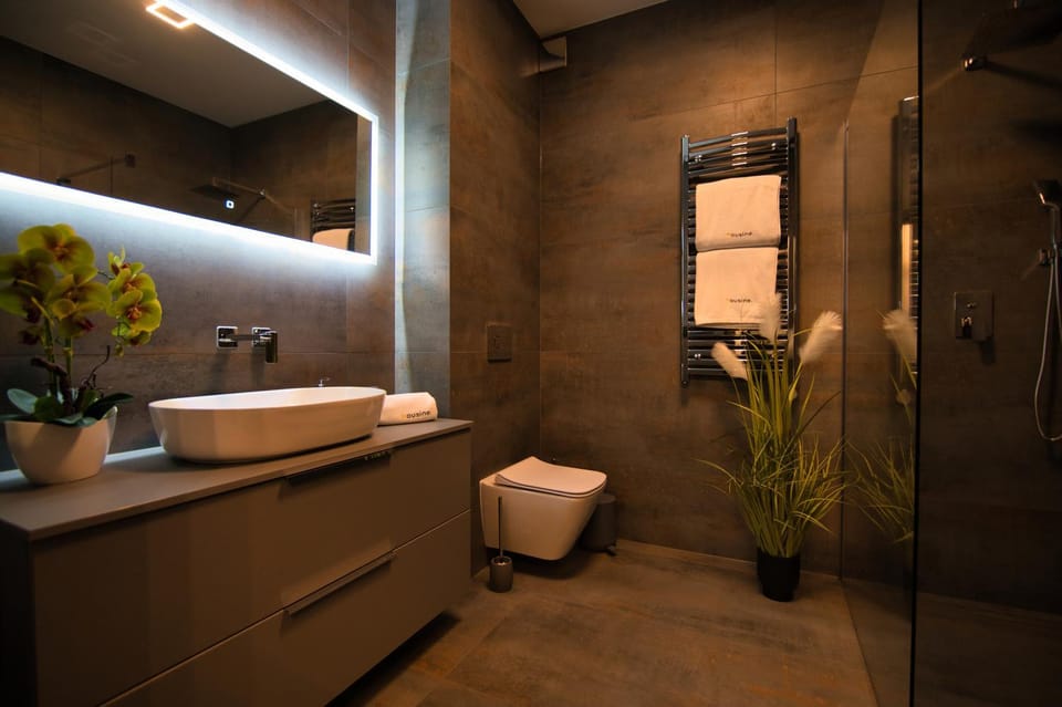 Shower, Toilet, Bathroom, towels