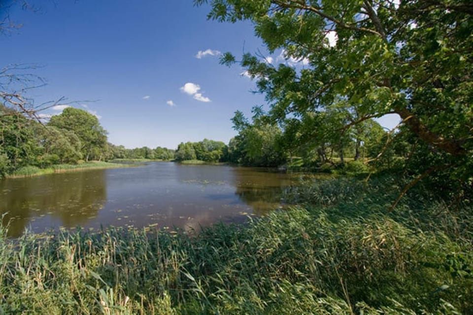 Beach, Lake view