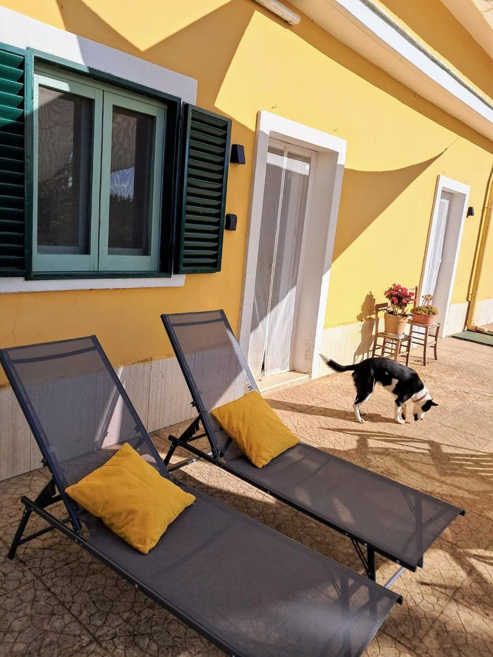 Property building, Patio, Patio, Animals, Animals, sunbed