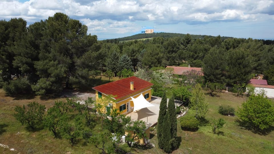 Property building, Spring, Day, Natural landscape, Bird's eye view