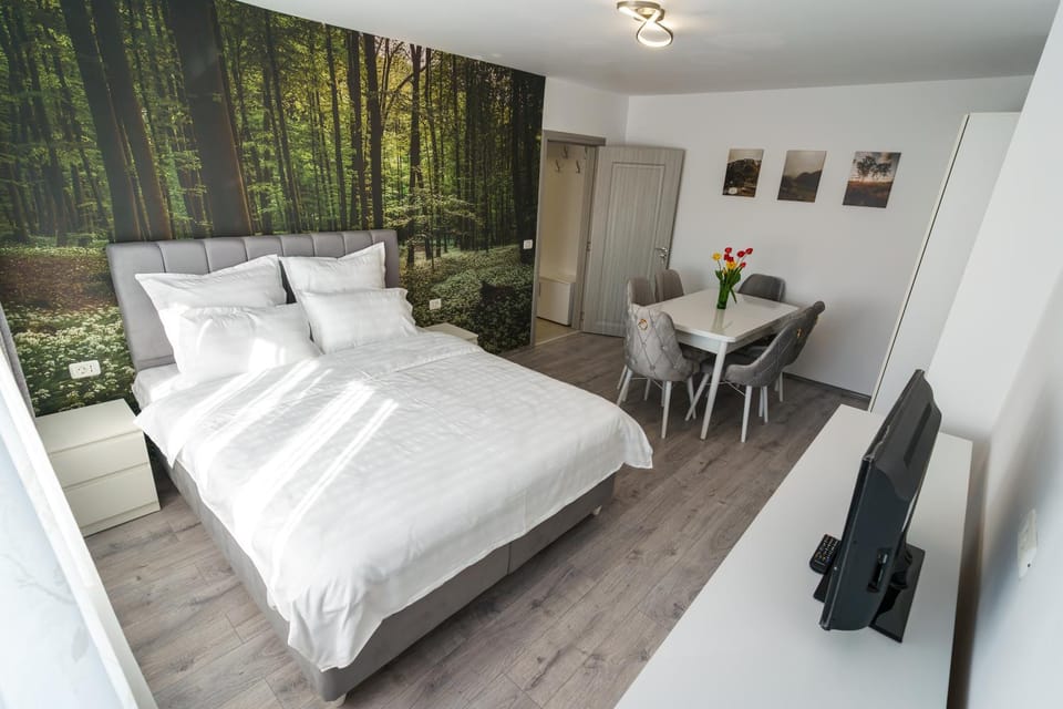 Bed, TV and multimedia, Seating area, Bedroom