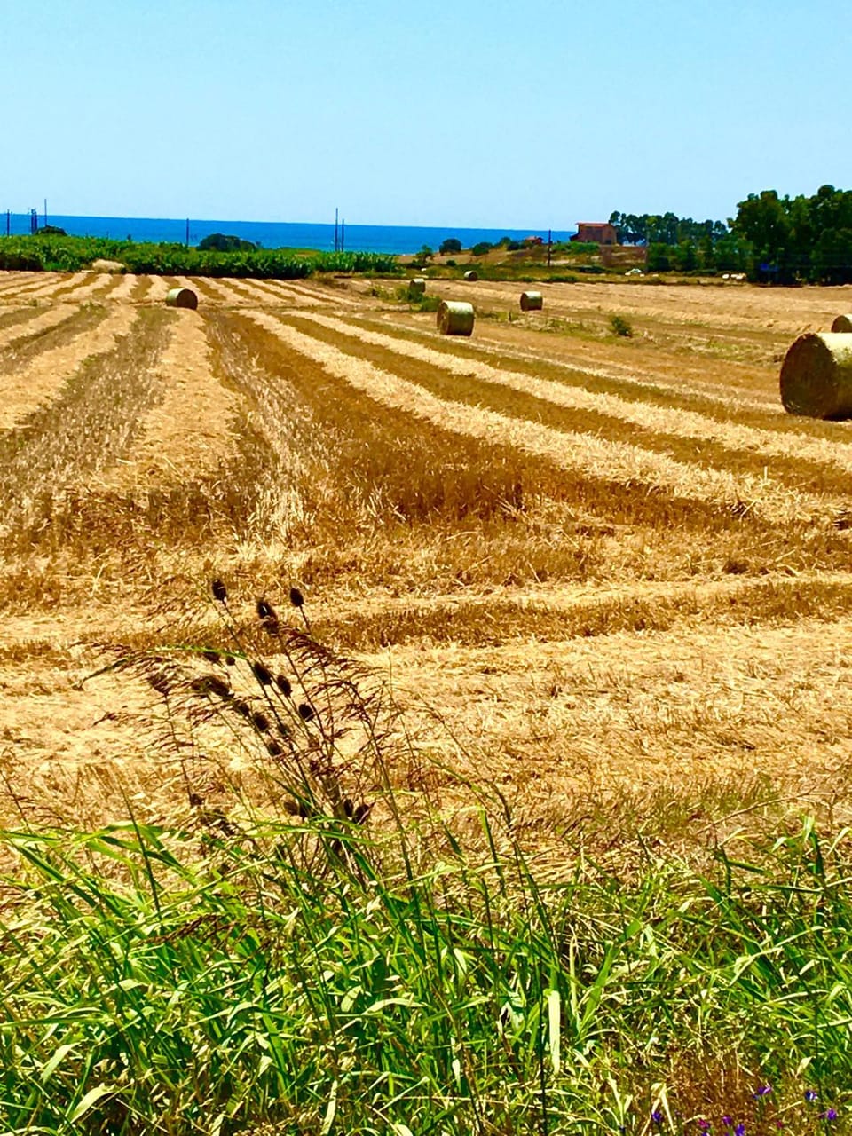 Natural landscape