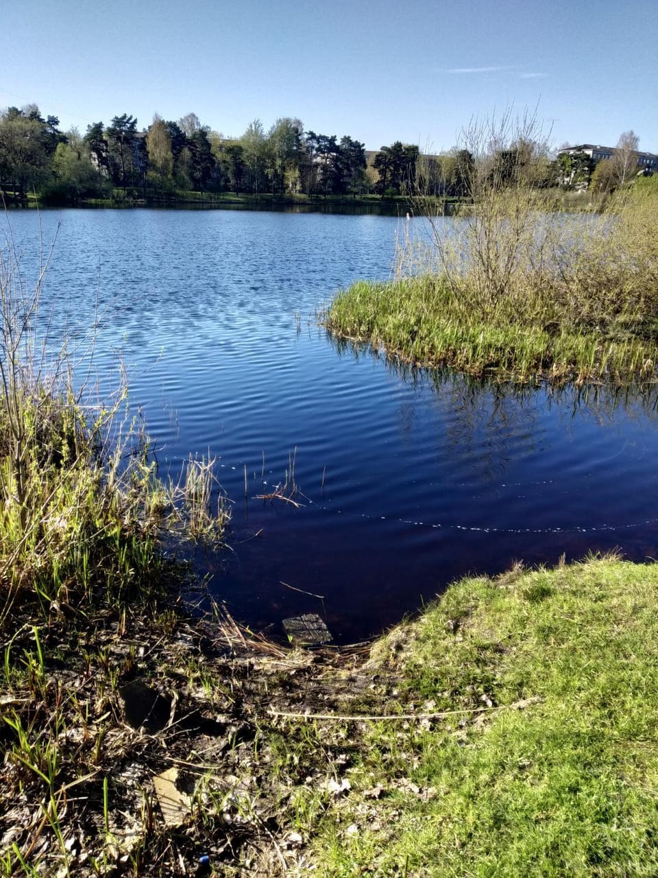 Lake view