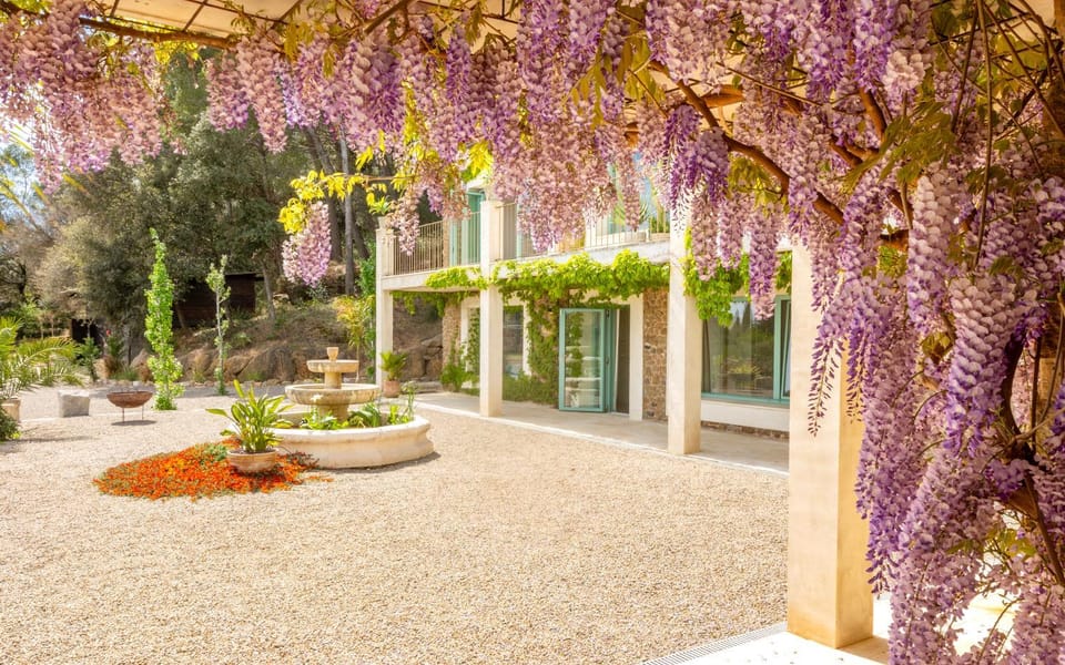 Day, Natural landscape, Garden, Garden view