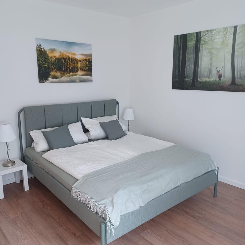 Wandertraum Apartment in Braunlage