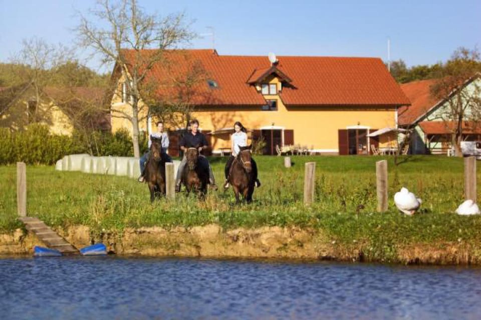 Activities, Horse-riding, Area and facilities