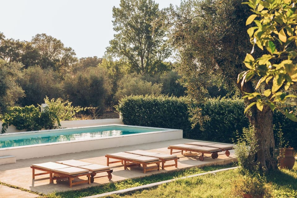 Natural landscape, Garden, Pool view, sunbed
