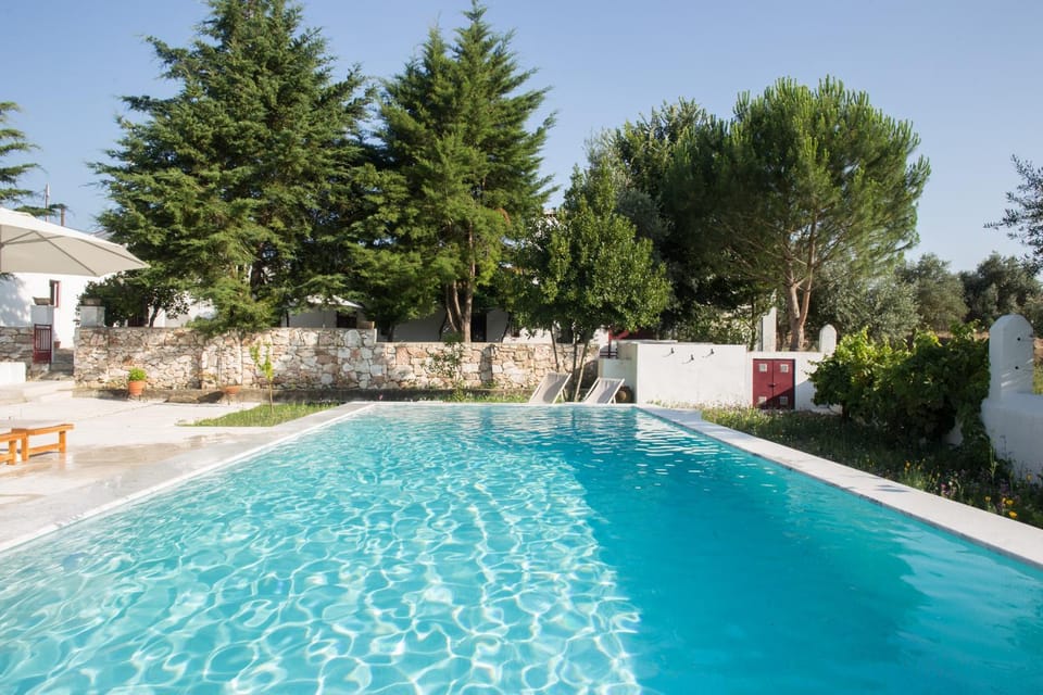 Day, Garden, Garden view, Pool view, Swimming pool, sunbed