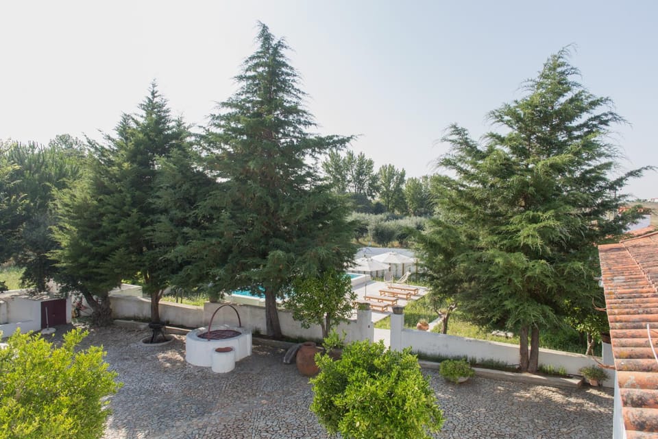 Natural landscape, Garden, Garden view, Pool view, Swimming pool