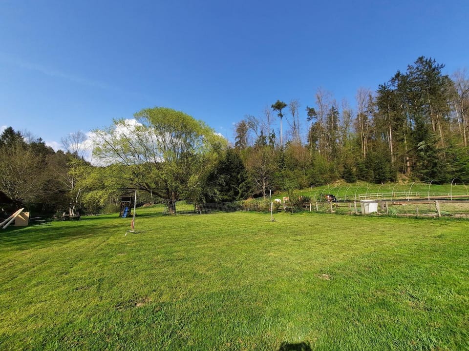 Natural landscape, Garden