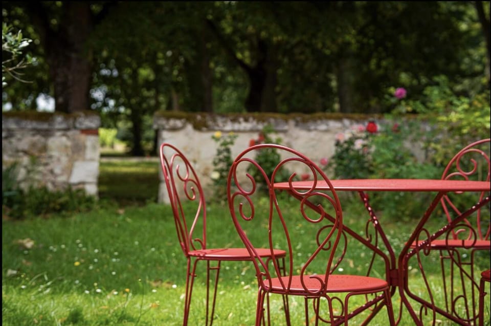 Spring, Day, Garden, Garden view