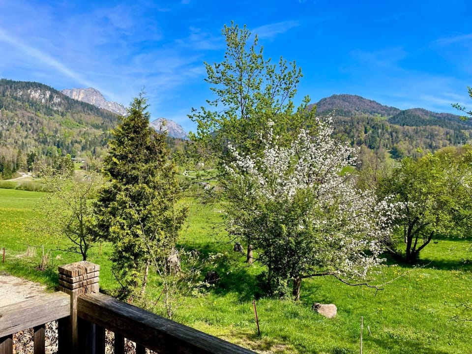 Natural landscape, Mountain view