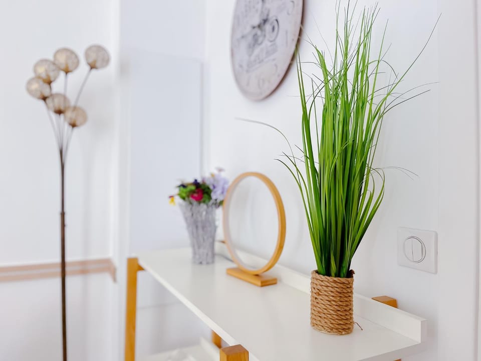 Le canopée - Cozy Suquet Cannes Centre Apartment in Cannes