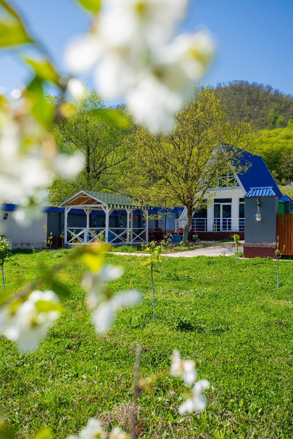 Property building, Natural landscape, Garden, Mountain view