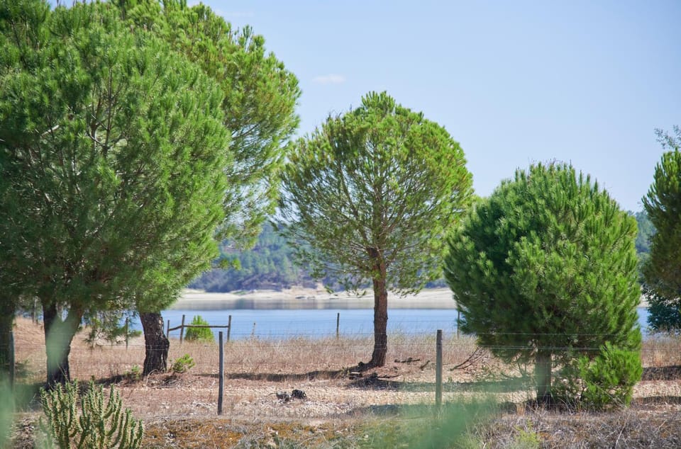 Lake view