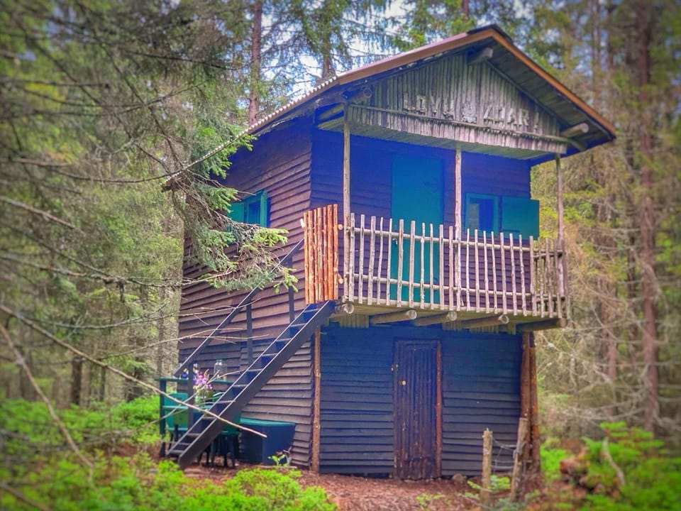 VLES chata uprostřed lesa Luxury tent in South Bohemian Region