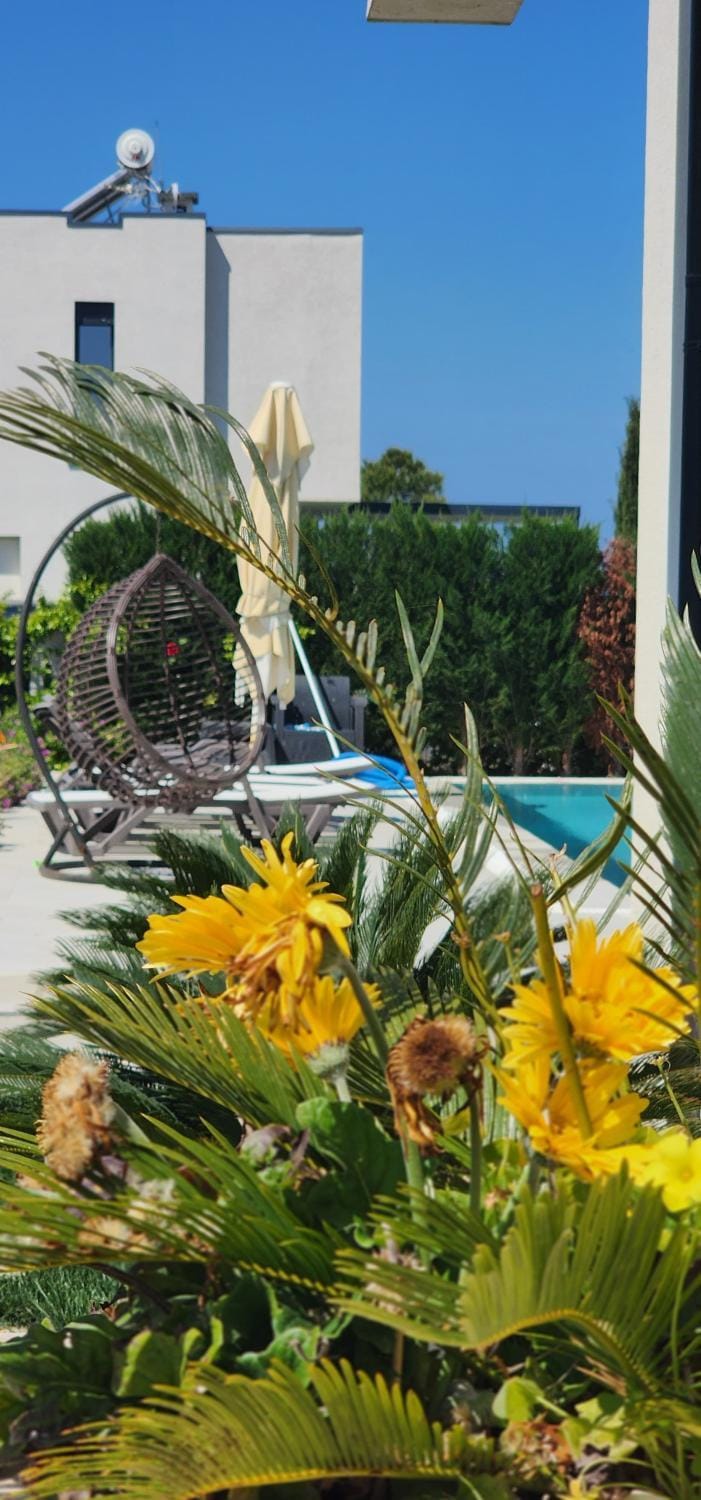 Garden, Swimming pool