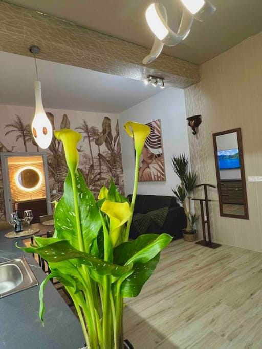 Casa Maravillosa Apartment in Valencia