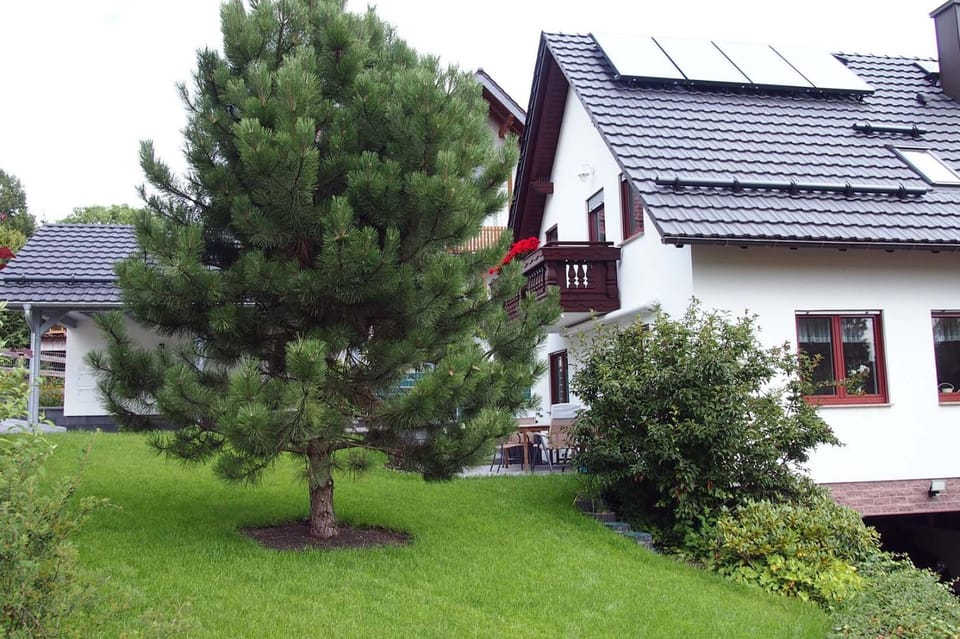 Garden, Garden