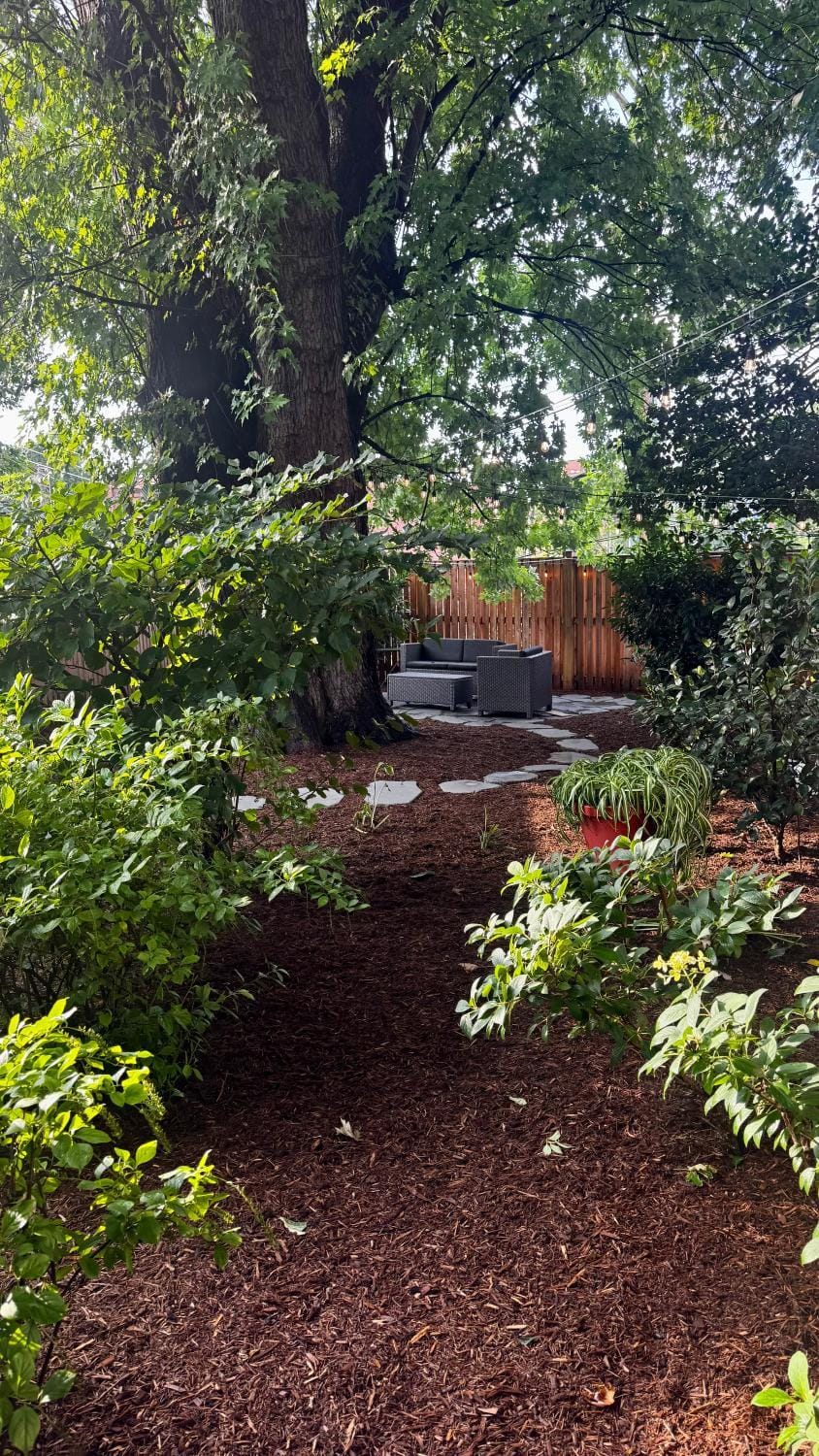 Patio, Patio, Garden, Garden