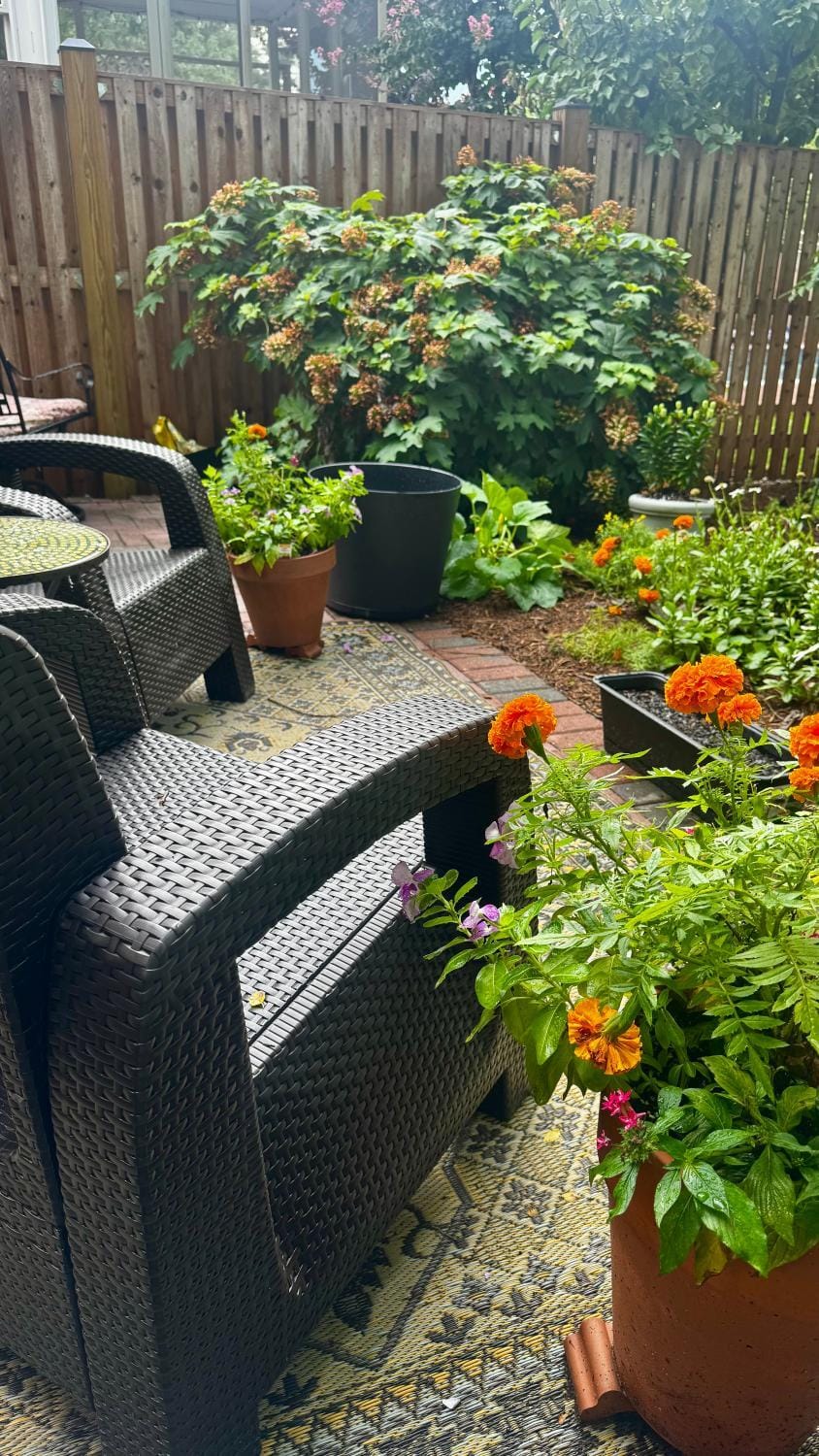 Patio, Patio, Garden, Garden