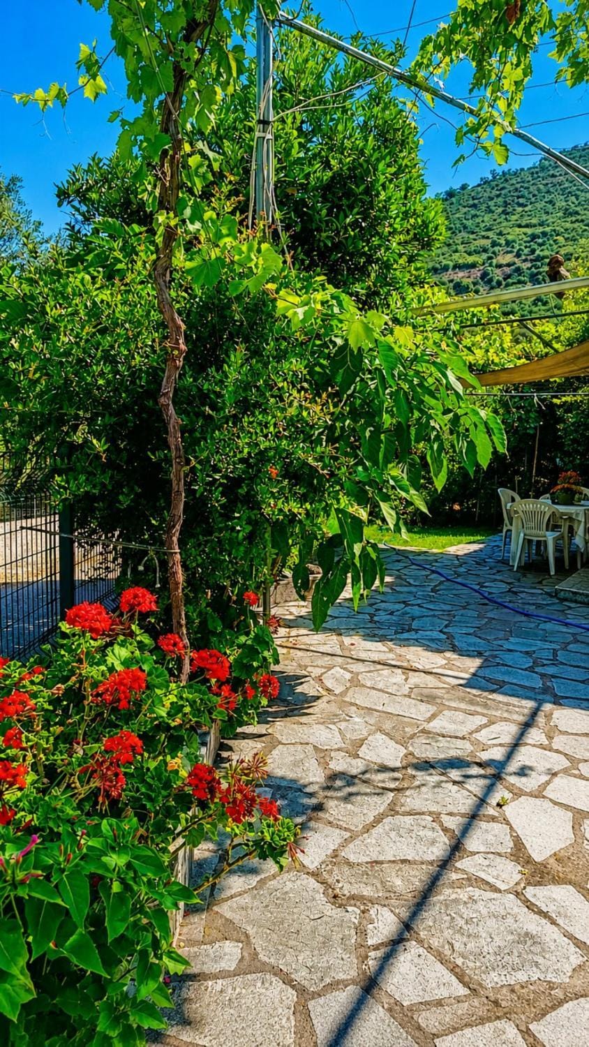 Natural landscape, Garden, Garden view